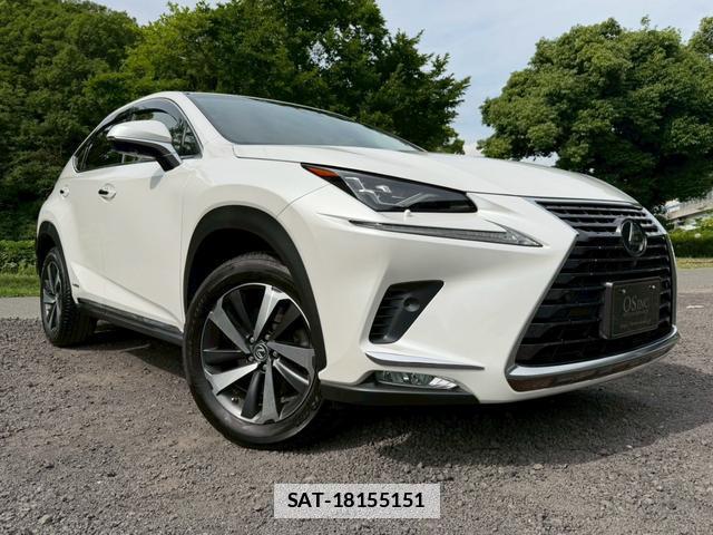Lexus NX 2018-05 7794455-15