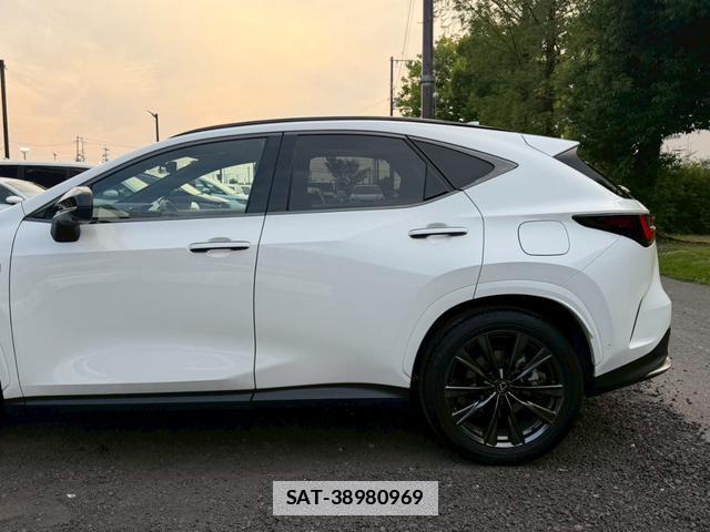 Lexus NX 2024-11 7794465-11