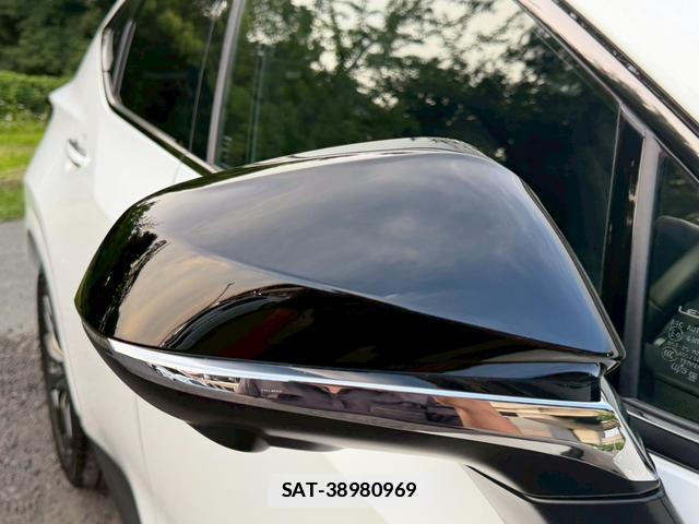 Lexus NX 2024-11 7794465-15