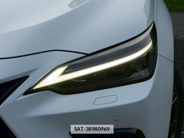 Lexus NX 2024-11 7794465-3