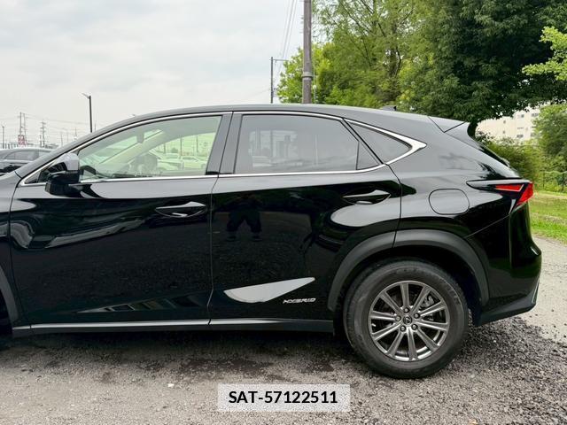Lexus NX 2019-11 7794467-11