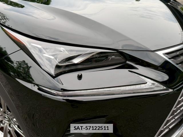 Lexus NX 2019-11 7794467-13