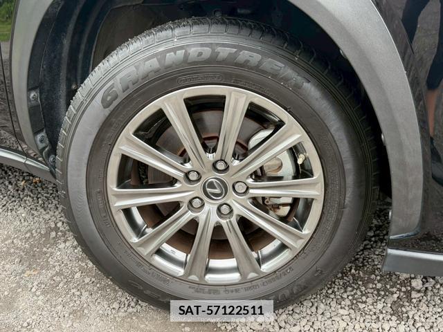 Lexus NX 2019-11 7794467-14