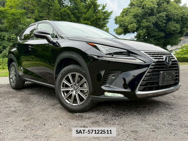 Lexus NX 2019-11 7794467-15