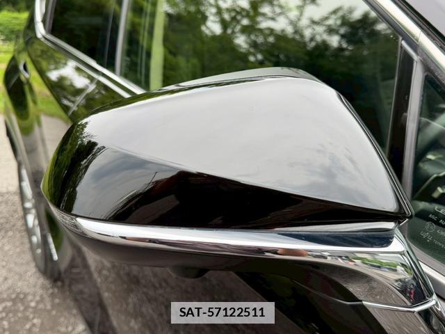 Lexus NX 2019-11 7794467-16