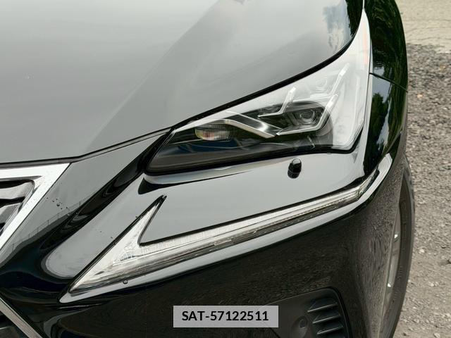 Lexus NX 2019-11 7794467-3