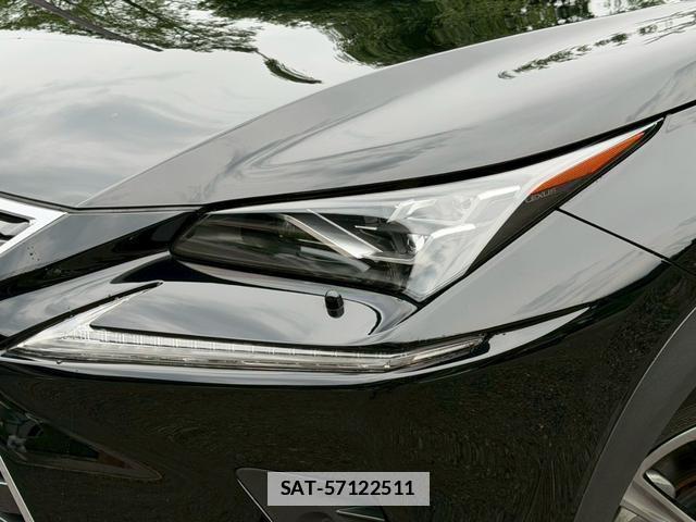 Lexus NX 2019-11 7794467-4