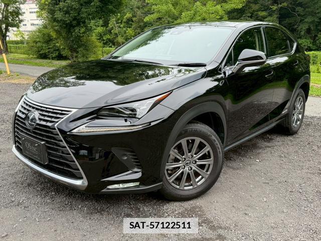 Lexus NX 2019-11 7794467-5