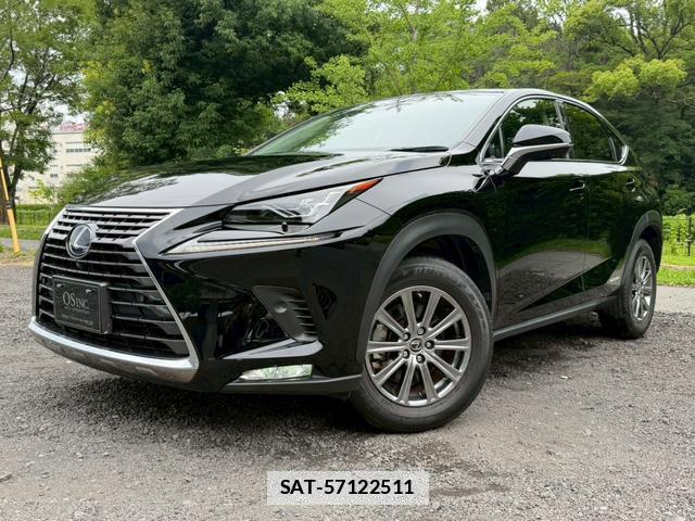 Lexus NX 2019-11 7794467-6
