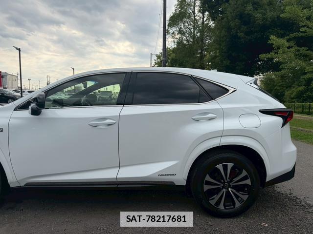 Lexus NX 2017-11 7794468-11
