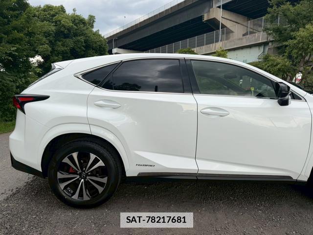 Lexus NX 2017-11 7794468-12