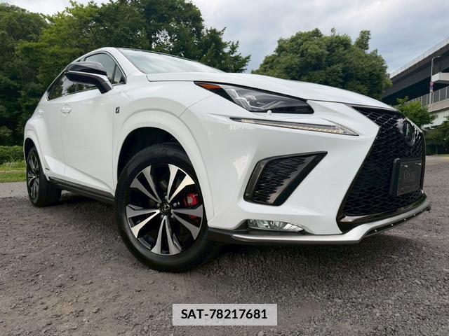 Lexus NX 2017-11 7794468-15