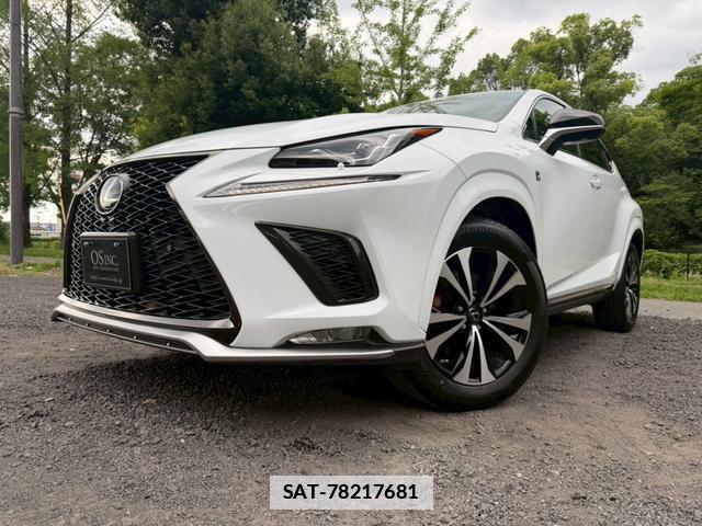 Lexus NX 2017-11 7794468-6