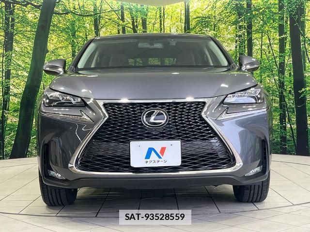 Lexus NX 2015-05 7794541-14