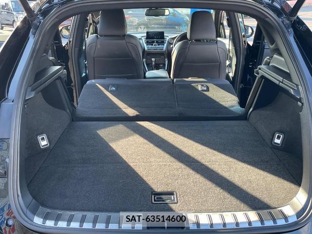 Lexus NX 2015-07 7794706-10
