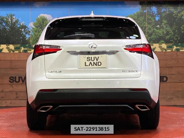 Lexus NX 2015-07 7795586-14