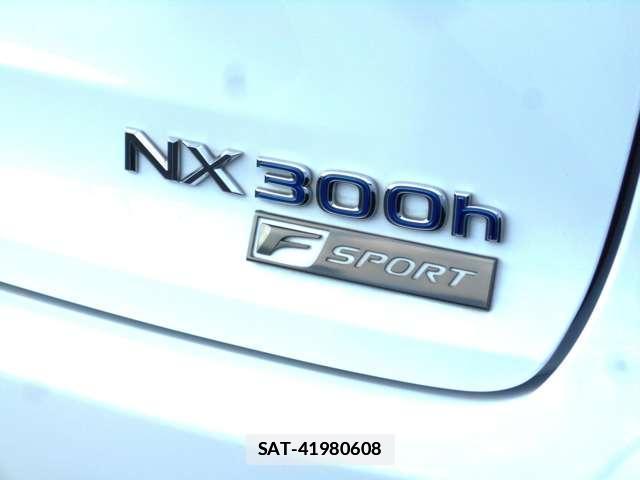 Lexus NX 2018-03 7795936-11