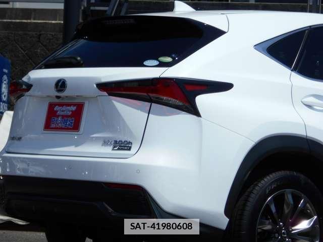 Lexus NX 2018-03 7795936-3