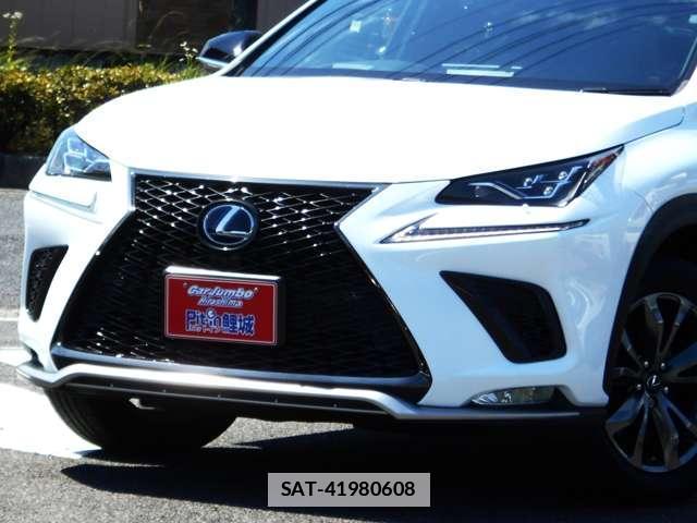 Lexus NX 2018-03 7795936-4