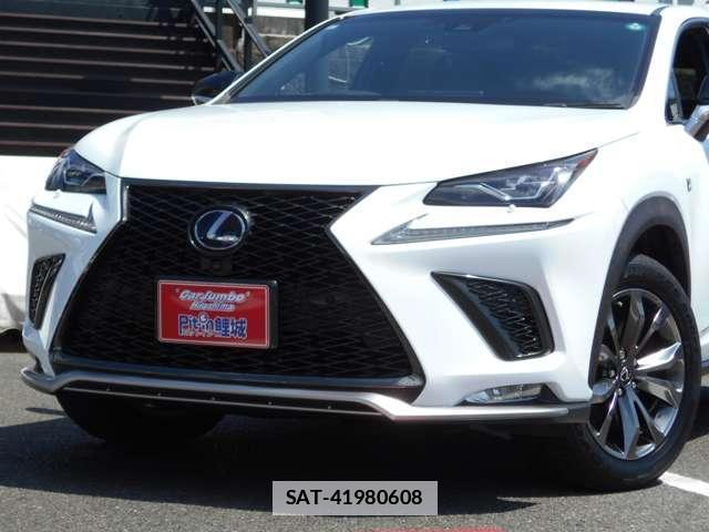 Lexus NX 2018-03 7795936-9