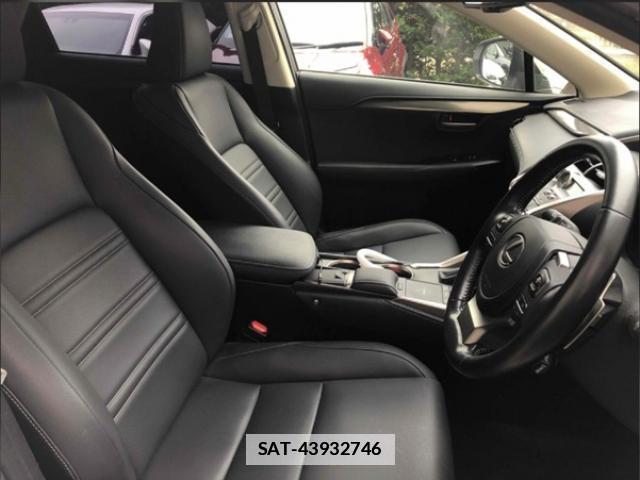 Lexus NX 2021-03 7796211-12