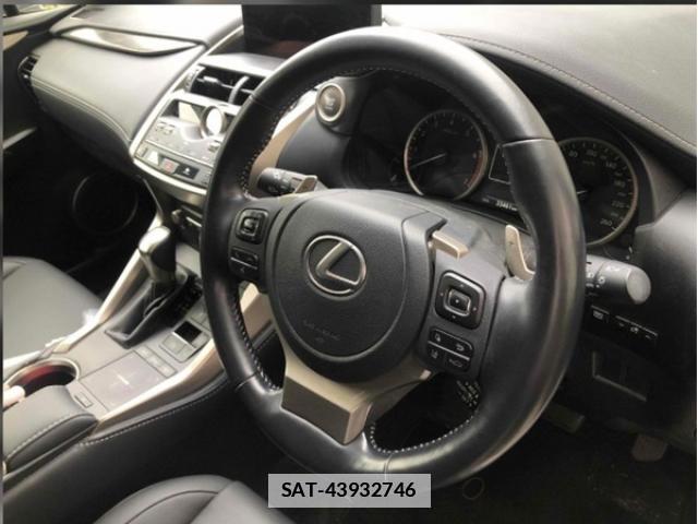 Lexus NX 2021-03 7796211-2