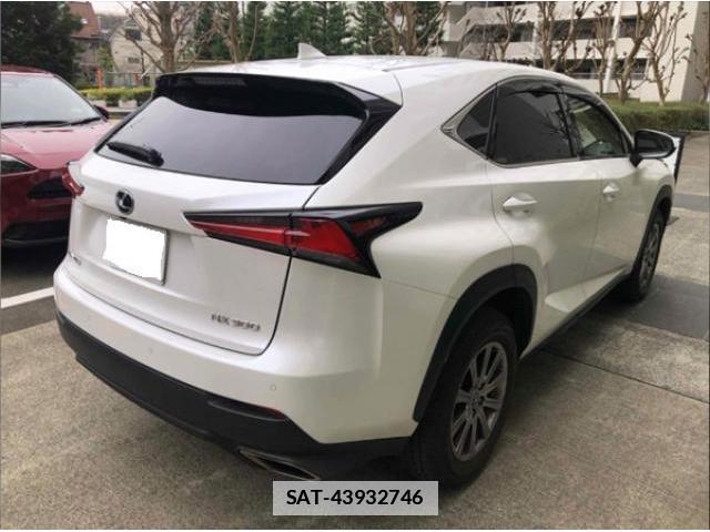 Lexus NX 2021-03 7796211-4