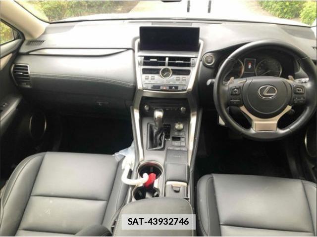 Lexus NX 2021-03 7796211-5