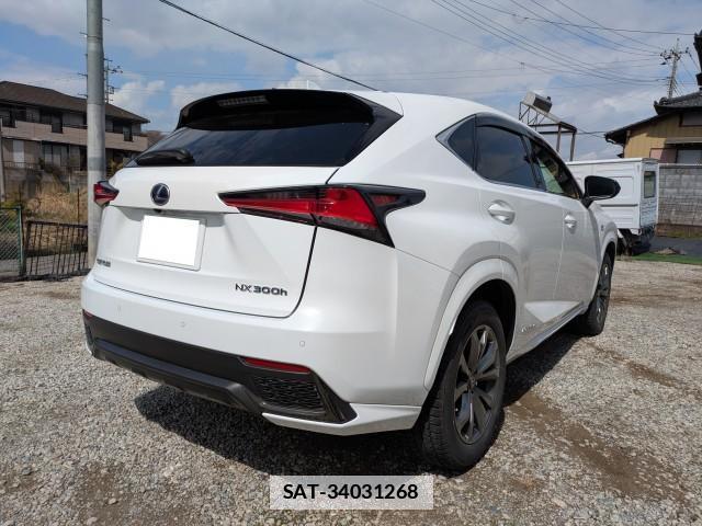 Lexus NX 2019-08 7797398-1