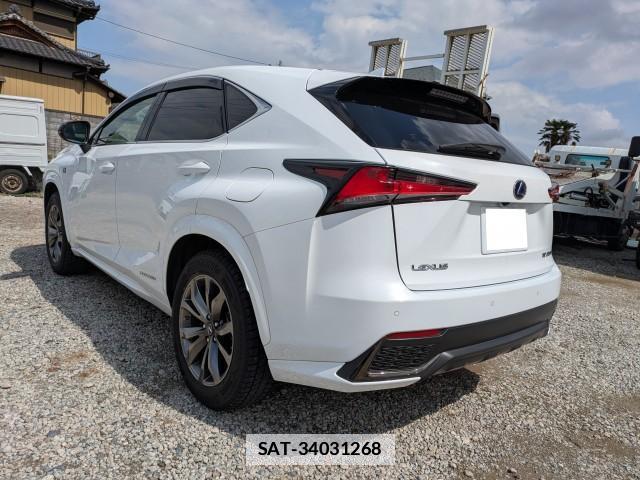 Lexus NX 2019-08 7797398-10