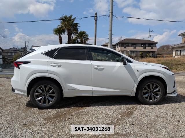 Lexus NX 2019-08 7797398-11