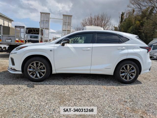 Lexus NX 2019-08 7797398-12