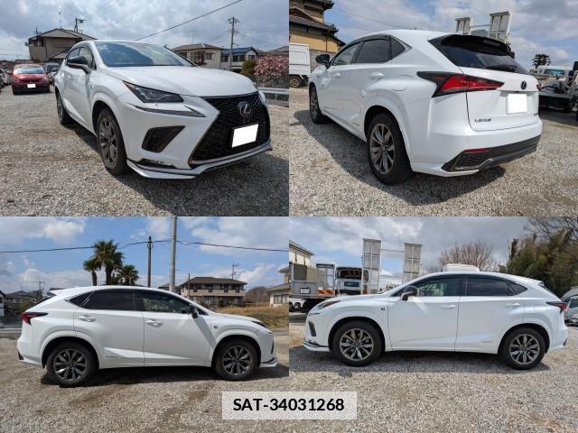 Lexus NX 2019-08 7797398-8
