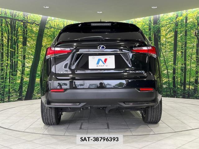 Lexus NX 2015-02 7797545-14