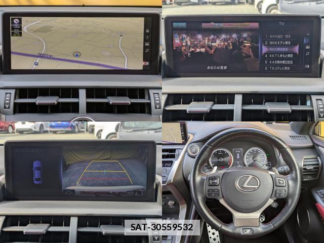 Lexus NX 2018-04 7798684-10