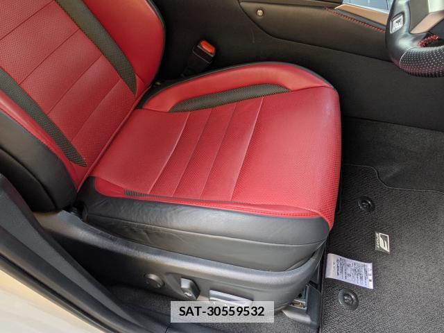 Lexus NX 2018-04 7798684-15