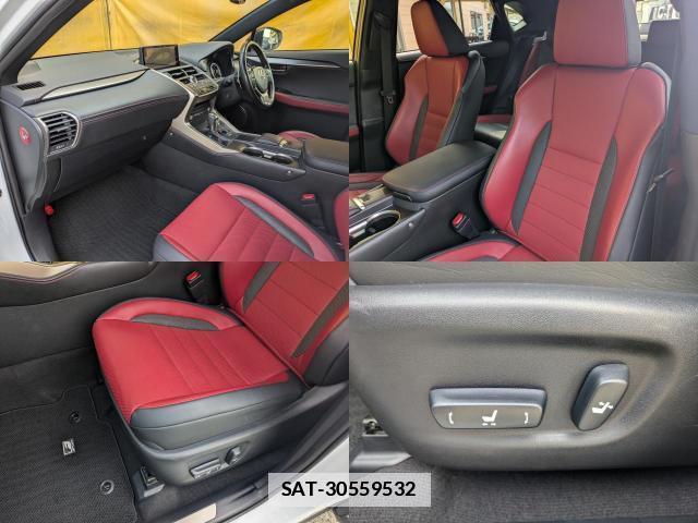 Lexus NX 2018-04 7798684-17