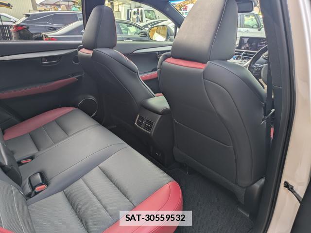 Lexus NX 2018-04 7798684-19