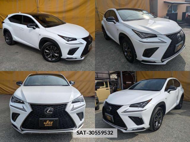 Lexus NX 2018-04 7798684-3