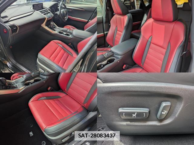 Lexus NX 2017-09 7798685-14