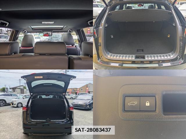 Lexus NX 2017-09 7798685-19