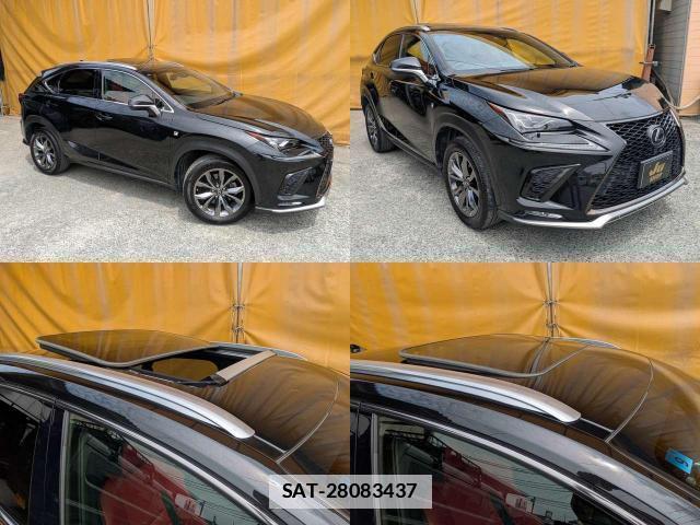 Lexus NX 2017-09 7798685-3