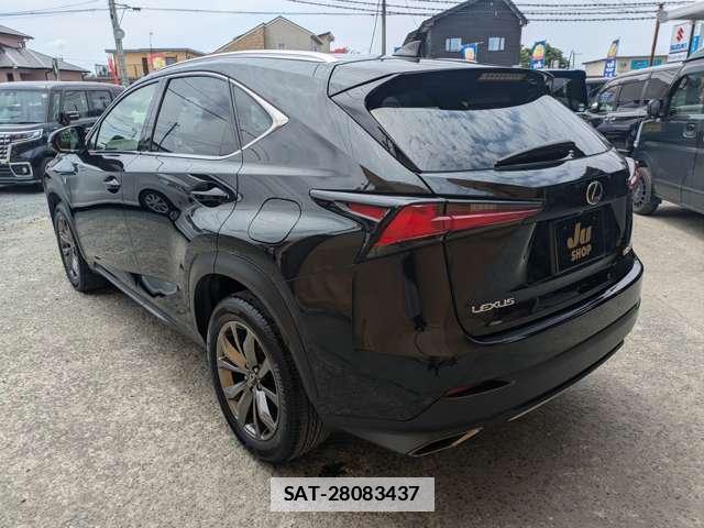 Lexus NX 2017-09 7798685-7