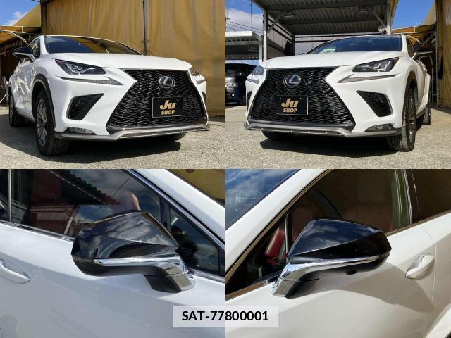 Lexus NX 2018-08 7798686-6