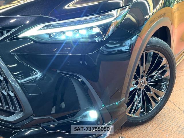 Lexus NX 2021-12 7799124-13
