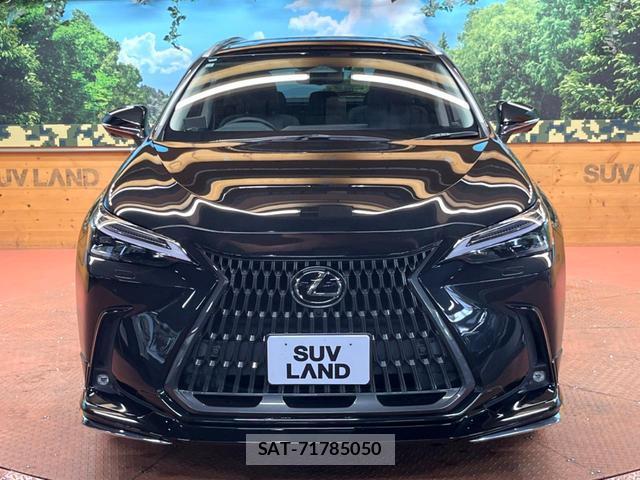 Lexus NX 2021-12 7799124-15