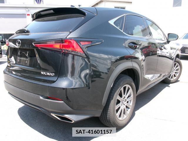Lexus NX 2019-05 7800522-1