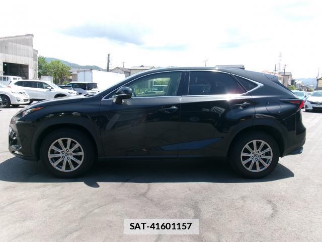 Lexus NX 2019-05 7800522-10