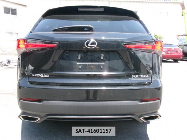 Lexus NX 2019-05 7800522-11