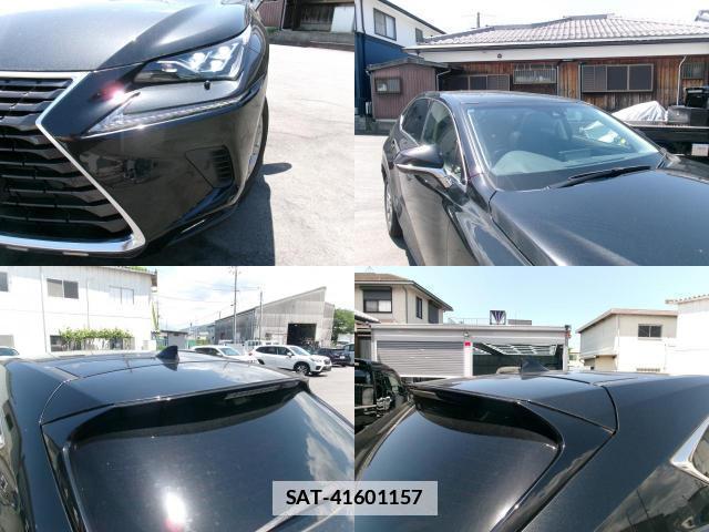 Lexus NX 2019-05 7800522-12